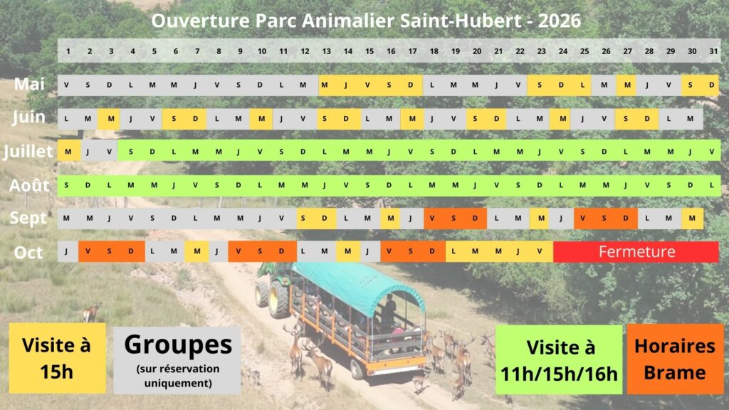 Calendrier d’ouverture 2025 du Parc Animalier Saint-Hubert avec horaires de visite